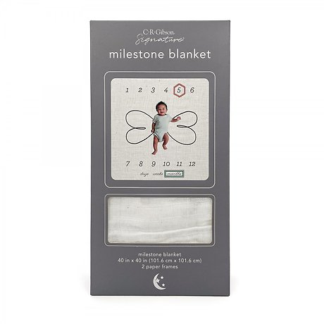 Milestone Blanket