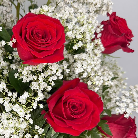 1 Dozen Roses Red