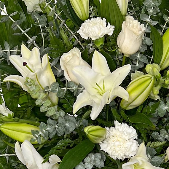 Sentiments of Serenity Spray