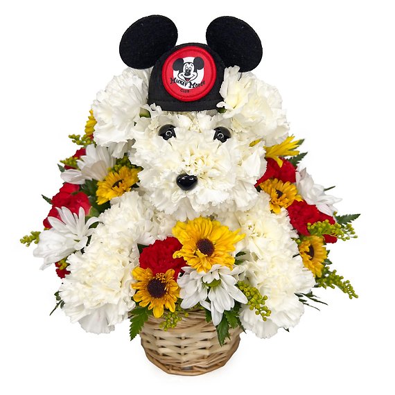 Mickey\'s Pal