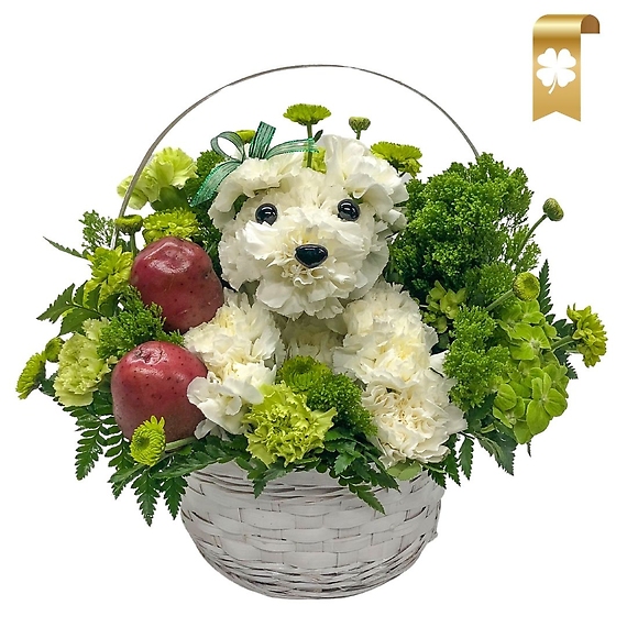 St. Patty\'s Day Pup