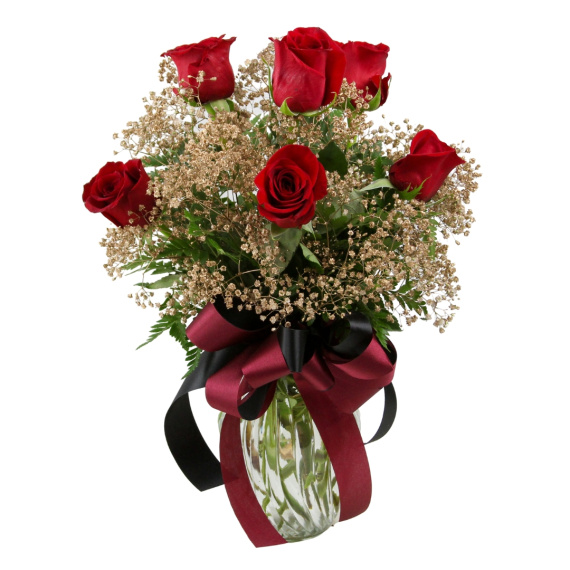 1/2 Dozen Roses Seminole Colors