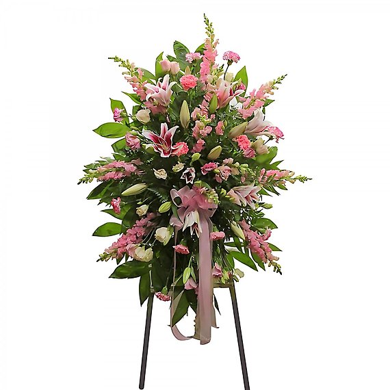 Pink Tribute Spray