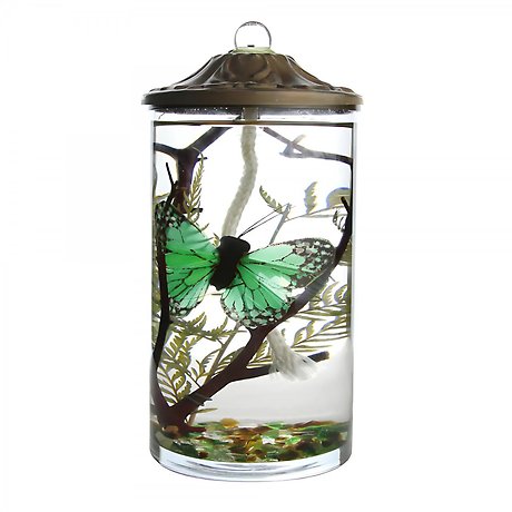 Lifetime Candle - Green Butterfly Cylinder