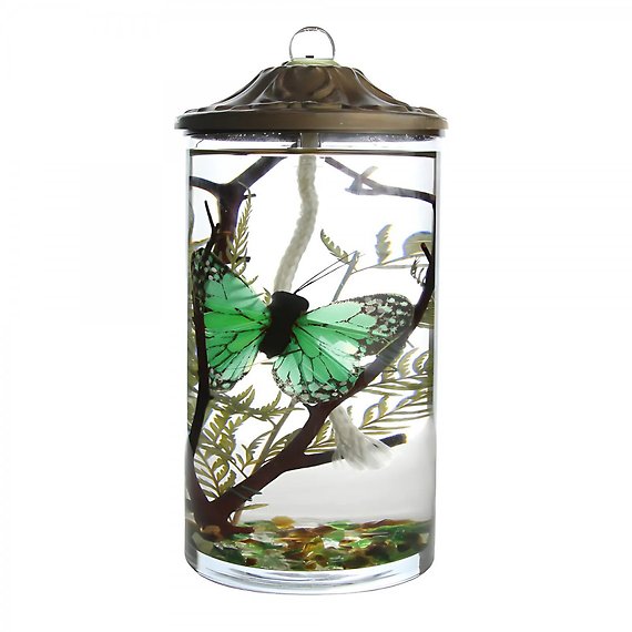 Lifetime Candle - Green Butterfly Cylinder