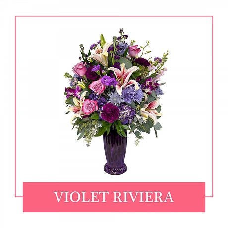 Violet Riviera