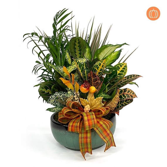 10\" Fall Ceramic Dish Garden