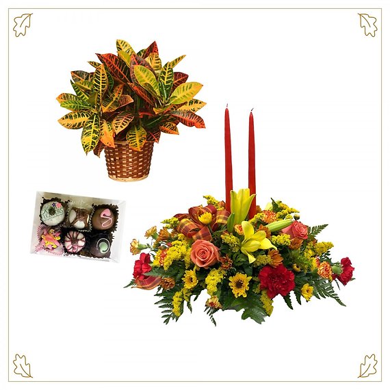 Gift of Gratitude Package