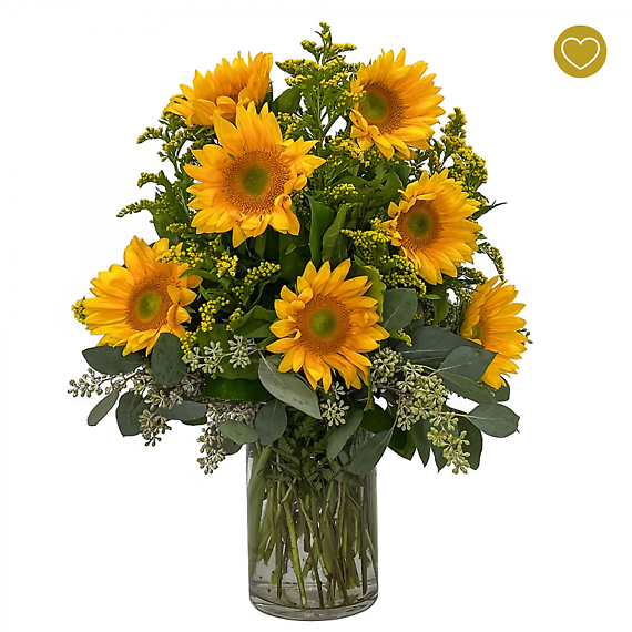 Sunflower Package