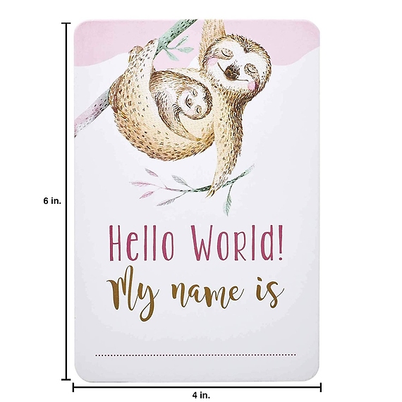 Baby Girl Milestone Photo Prop Cards