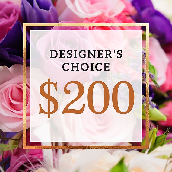 Designer\'s Choice