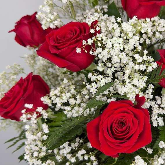 1 Dozen Roses Red