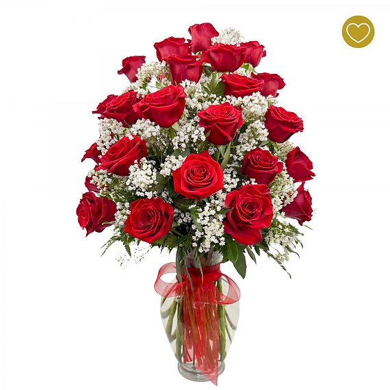 2 Dozen Roses Red