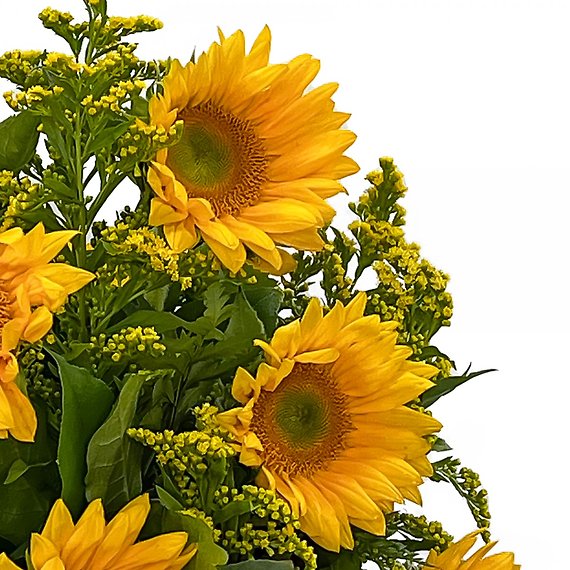 Simply Sunflowers