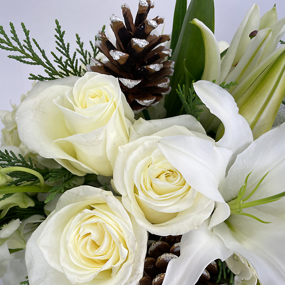 Winter\'s Solace