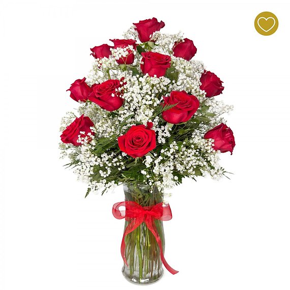 1 Dozen Roses Red