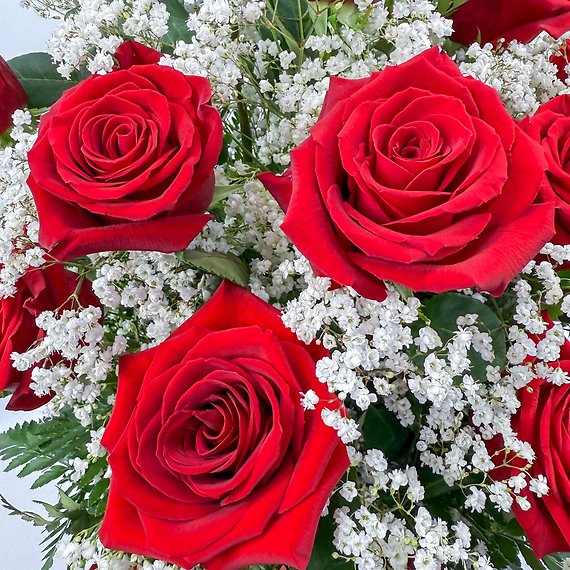 2 Dozen Roses Red