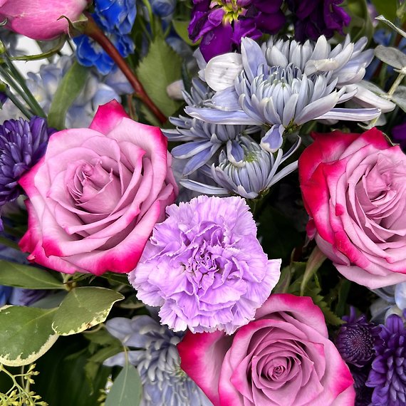 Lavender Dreams