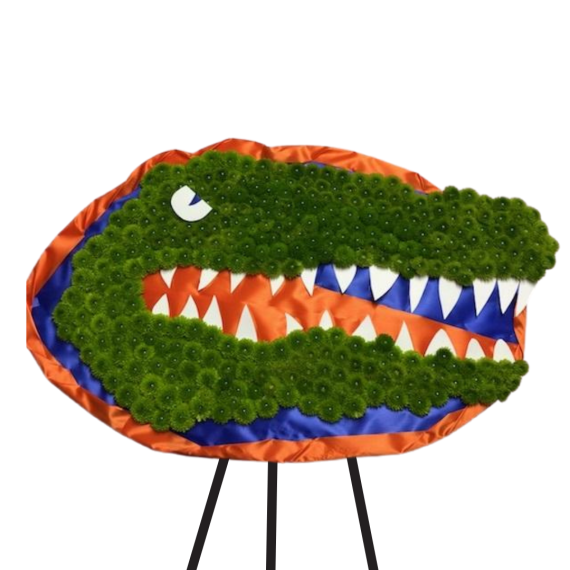 Gator Head