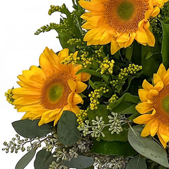 Sunflower Package