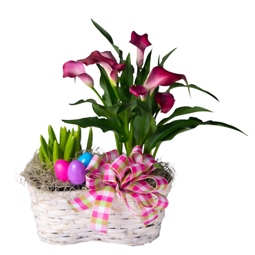 Calla Lily & Hyacinth Planter