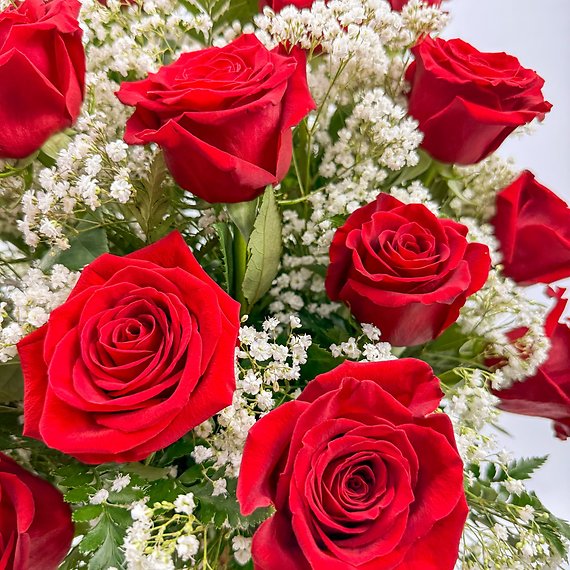 2 Dozen Roses Red