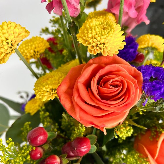 Colorful Appreciation