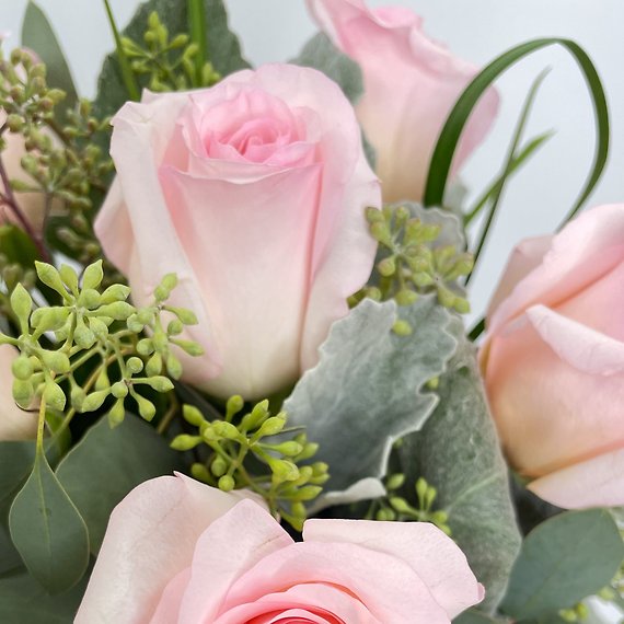 Pink Traditions