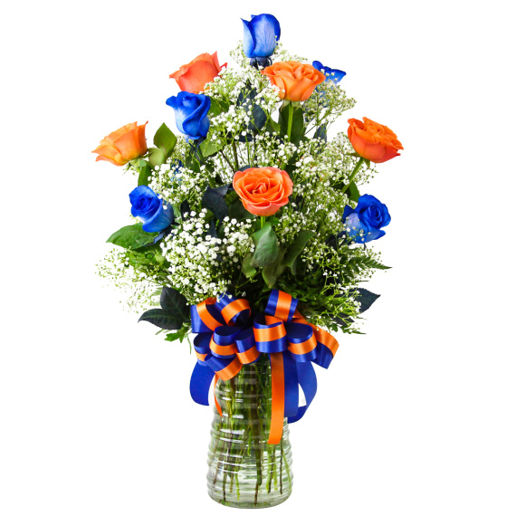 1 Dozen Roses Florida Gator Colors