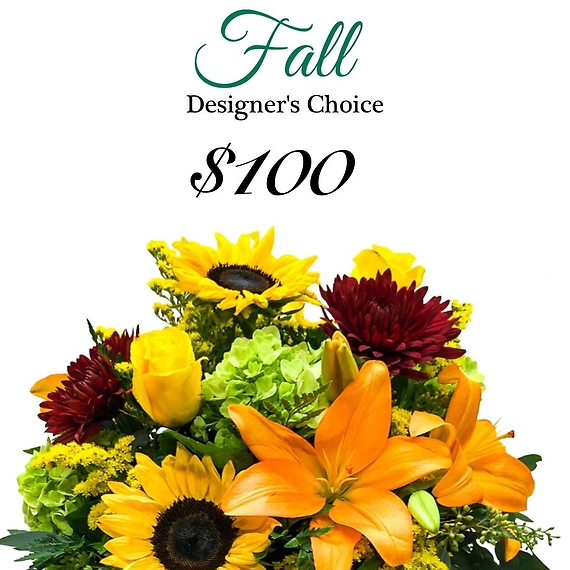 Fall Designers Choice